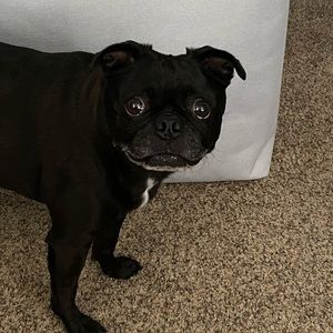 Meet your Posher, Yvonne